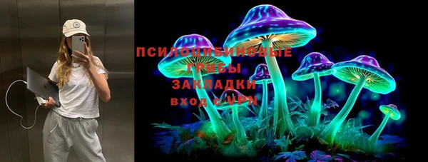 прущие грибы Арсеньев