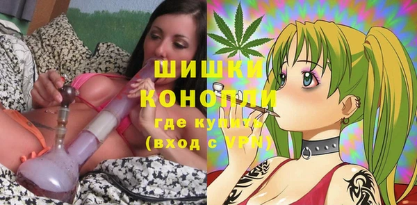 прущие грибы Арсеньев