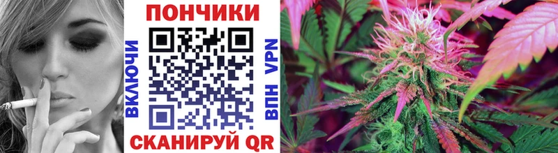 Бошки Шишки THC 21%  Купить где  Мелеуз 